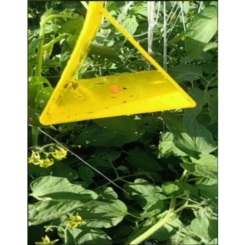 Yellow Delta Insect Trap