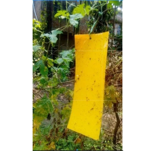 कृषि चिपचिपे जाल