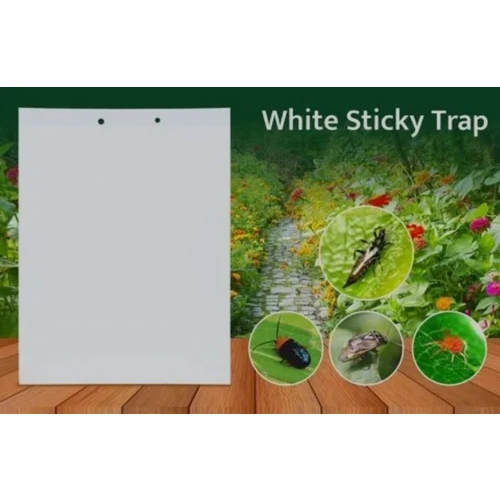 Insect White Sticky Trap Agriculture