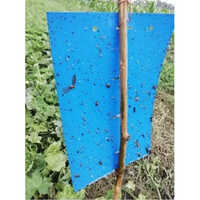 Blue Sticky Insect Trap
