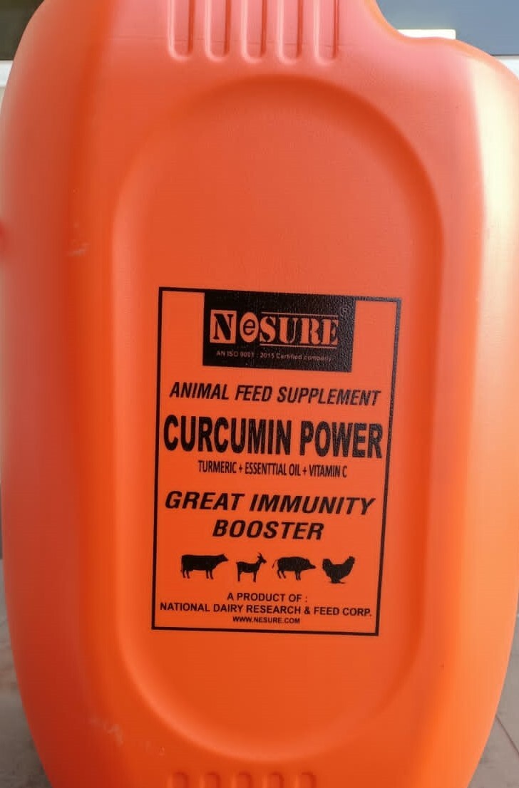 Curcumin Power Turmeric Oil - Powder Format | Stimulates Digestive Enzymes, Improves Feed Color, Reduces Stress, Enhances Weight Gain & Fcr