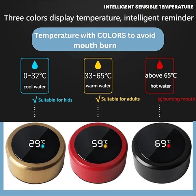 Paykars Insulated Bottle - 500 Milliliters Stainless Steel Vacuum Flask | Temperature Display, Leakproof & Bpa-free For Travel, Outdoor, Gym, Office