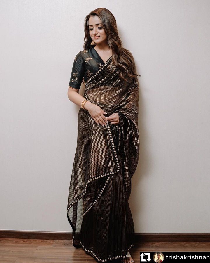 Organza Embrodory Work Saree-1 - Color: Black And Brown