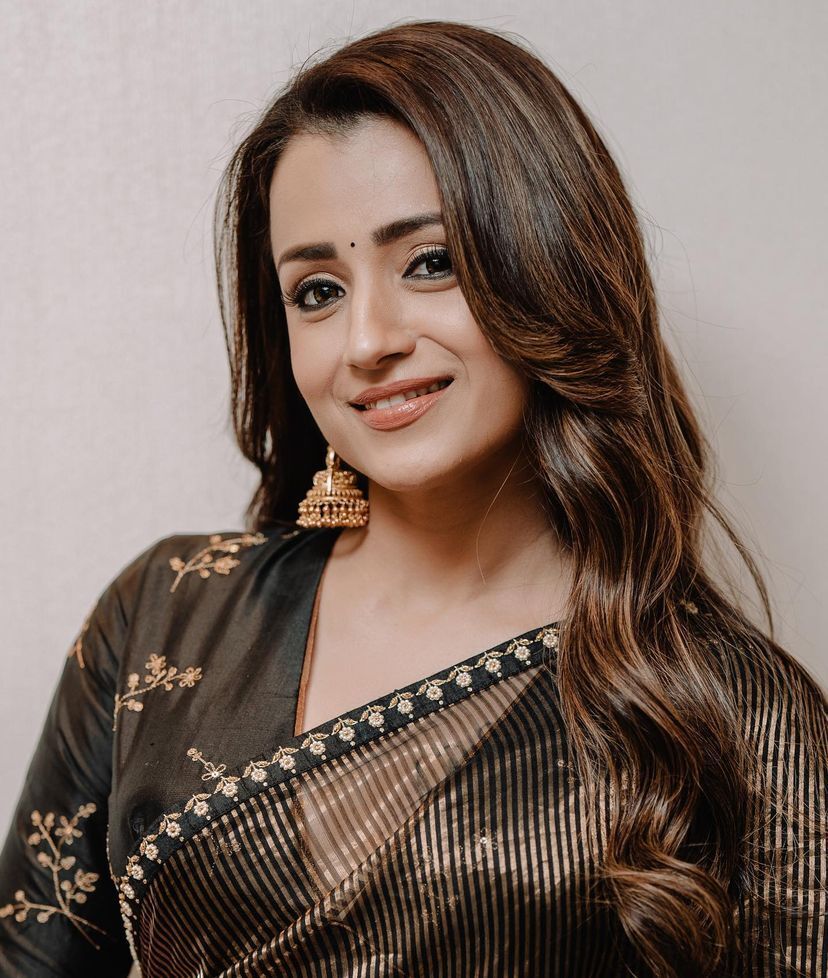 Organza Embrodory Work Saree-1 - Color: Black And Brown