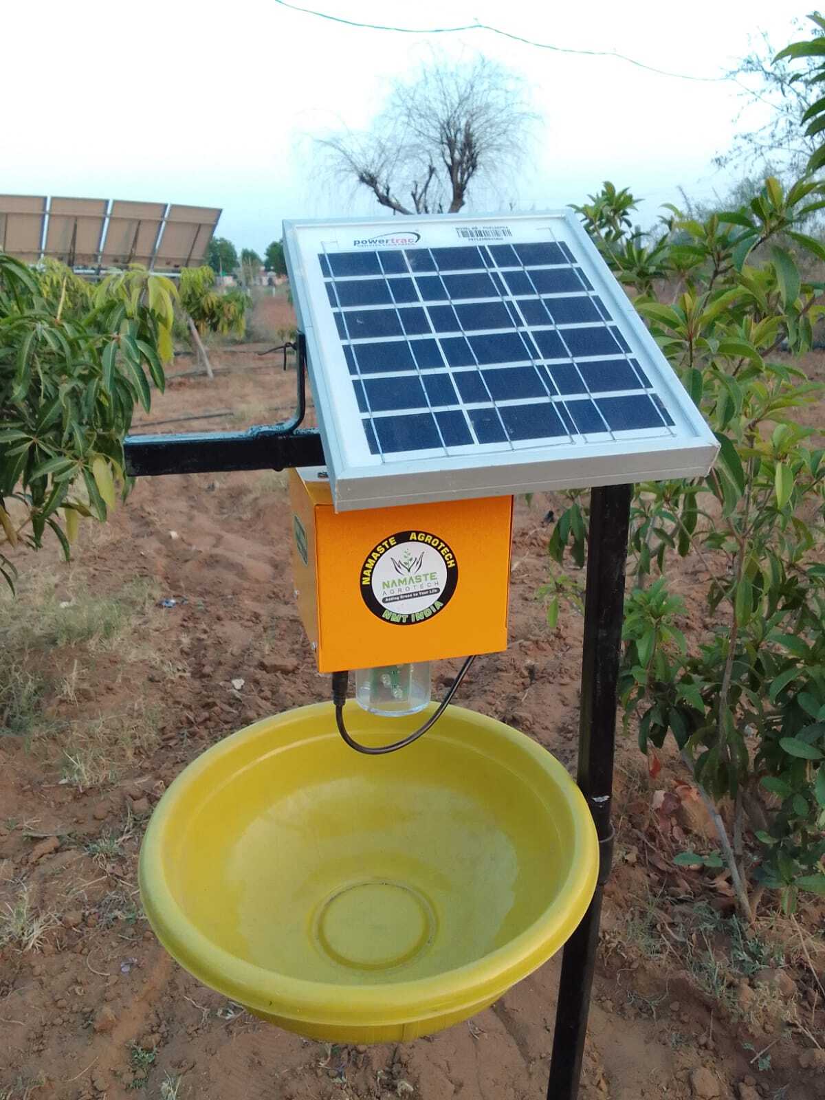 Solar Light Insect Trap