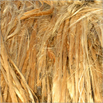 Raw Jute