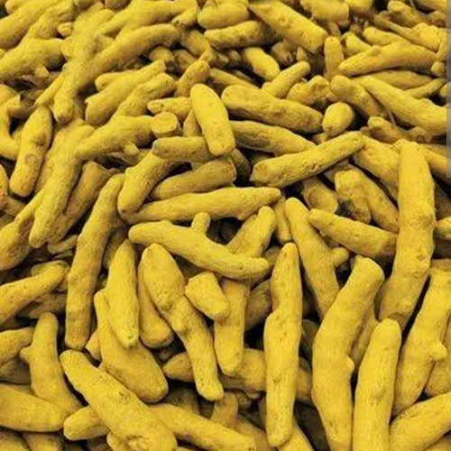 Dry Turmeric - Dried Yellow Spice | Versatile Usage, Ideal for Storage in Dry Place