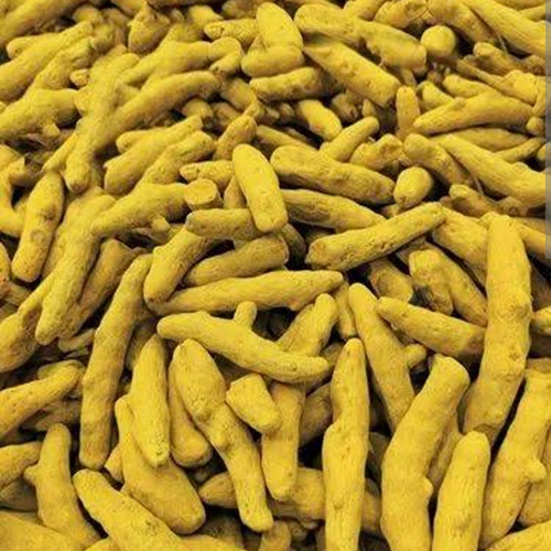 Yellow Dry Turmeric Weight: As Per Requirement  Kilograms (Kg)