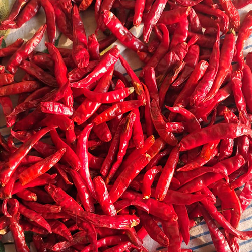 Mahi Super Dandi Cut Dry Red Chilli Weight: As Per Requirement Kilograms (Kg)