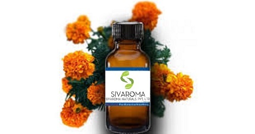 Tagetes Oil - 1 Kilogram, Golden Color, Fruity Fresh Sweet Aroma, 36 Months Shelf Life, Ideal For Medicinal Use And Essential Oil Blends