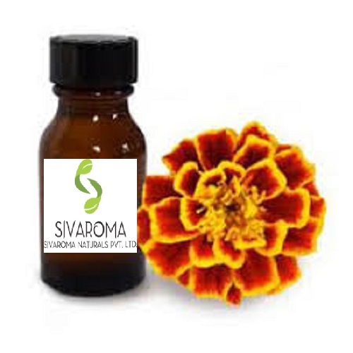 Tagetes Oil - 1 Kilogram, Golden Color, Fruity Fresh Sweet Aroma, 36 Months Shelf Life, Ideal For Medicinal Use And Essential Oil Blends