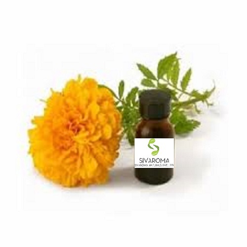Tagetes Oil - 1 Kilogram, Golden Color, Fruity Fresh Sweet Aroma, 36 Months Shelf Life, Ideal For Medicinal Use And Essential Oil Blends