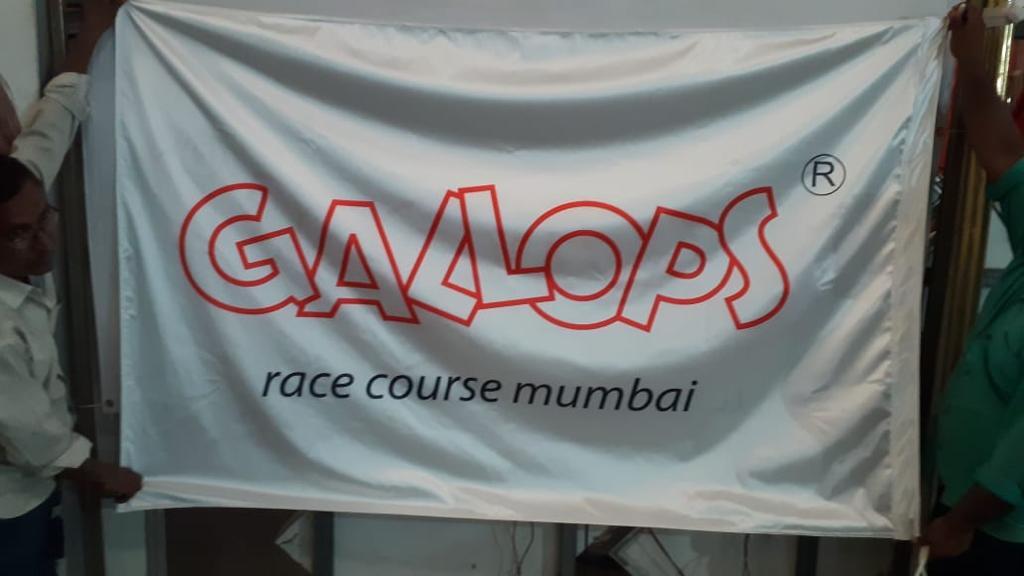 Custom Printed Flags - Flagpole Material: Plastic