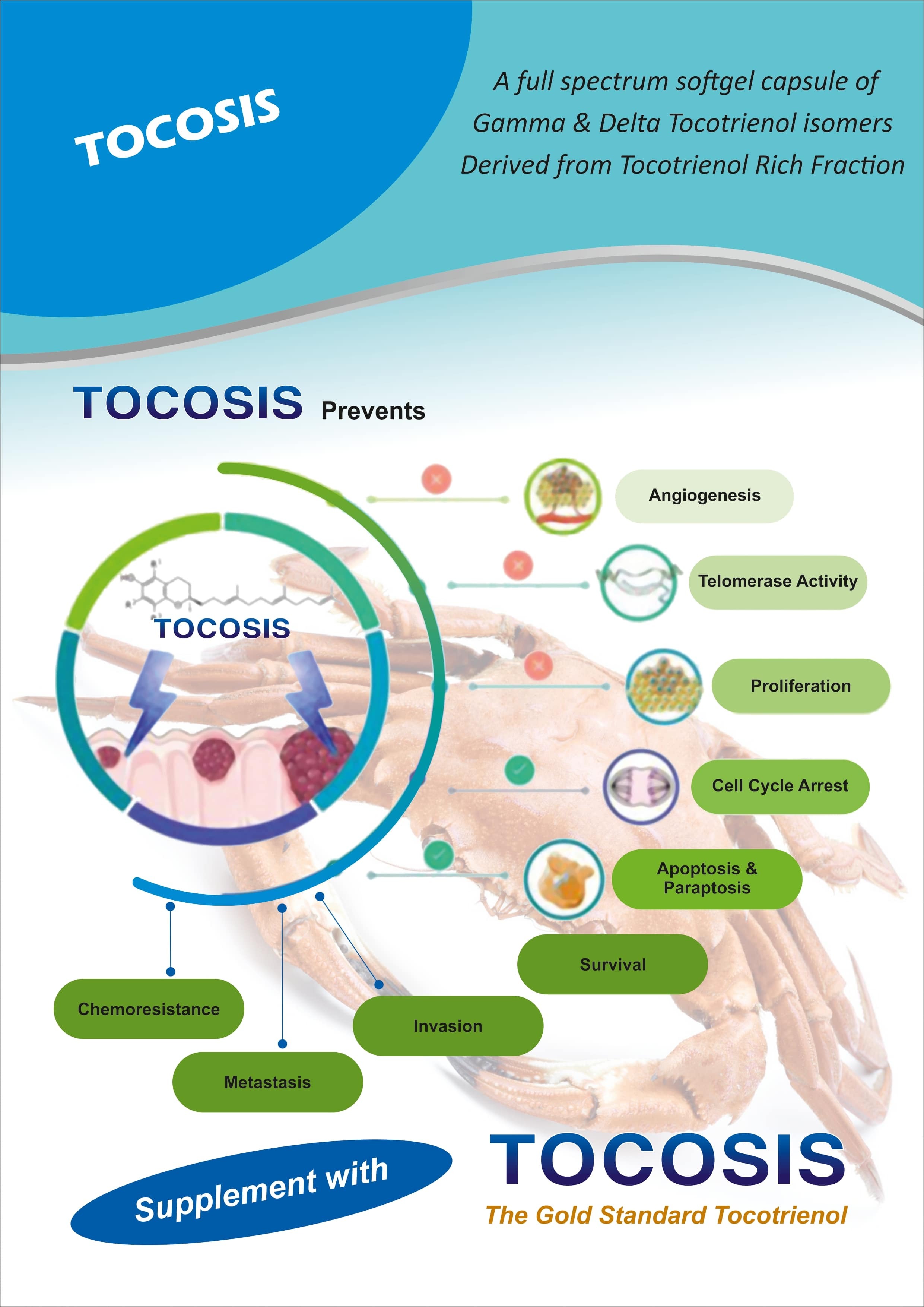 Tocosis (For Export Only)
