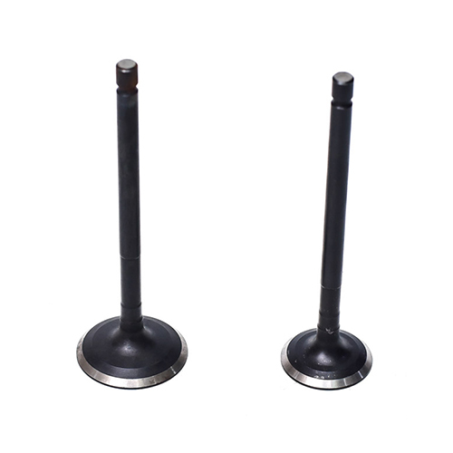 Long Life Bajaj Compact Engine Valve