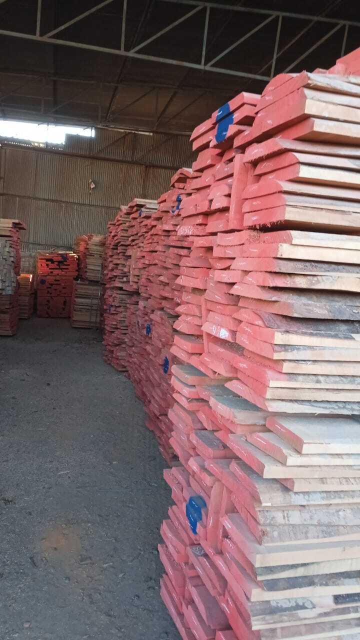 Steam Beech Wood  Timber - Feature: All Grades Are Available