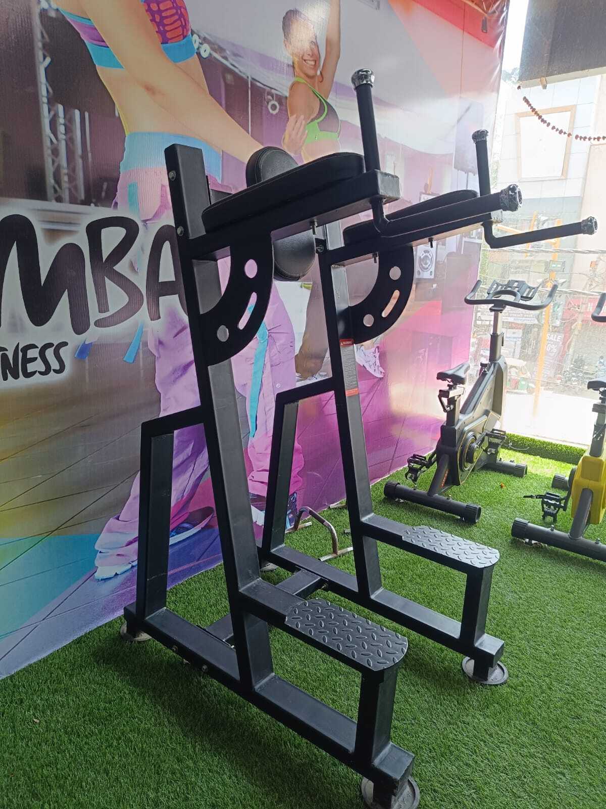 Vertical Knee Raise at INR in Delhi, Delhi Nexon Fitness