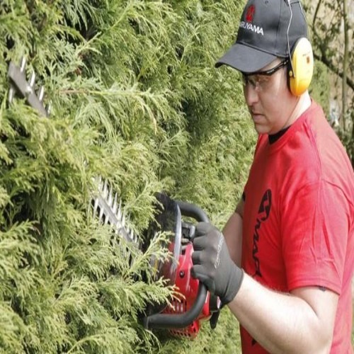 Maruyama Hedge Trimmer