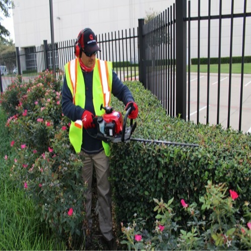 Maruyama Hedge Trimmer