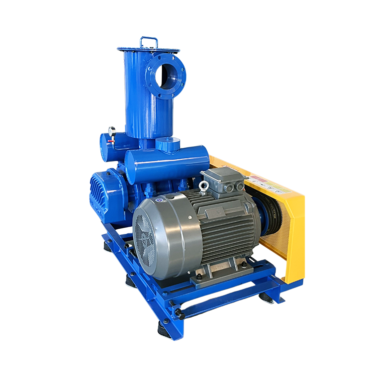 Hdsr-v Vacuum Pump - Application: Wastewater Treatment