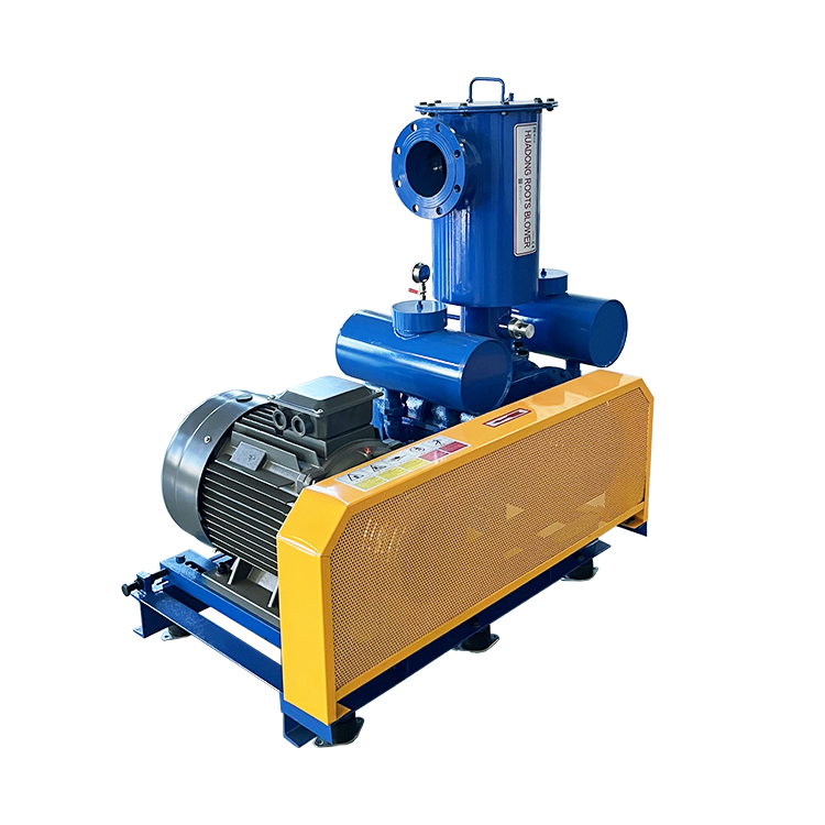 Hdsr-v Vacuum Pump - Application: Wastewater Treatment