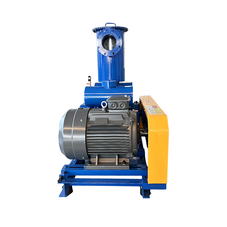 Hdsr-v Vacuum Pump - Application: Wastewater Treatment