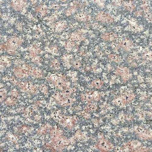 Bala Flower Granite - Polished Slabs, Customized Sizes and Colors, Ideal for Commercial Countertops and Flooring