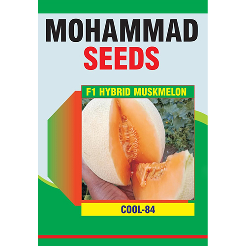 Common Muskmelon Seeds ( Cool-84 F1 Hybrid )