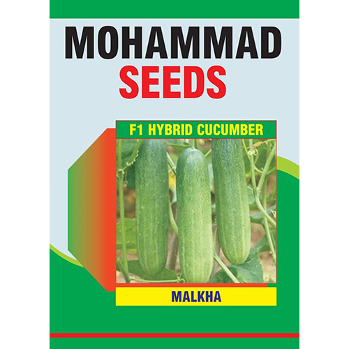 Common Cucumber Seeds (Malkha F1 Hybrid)
