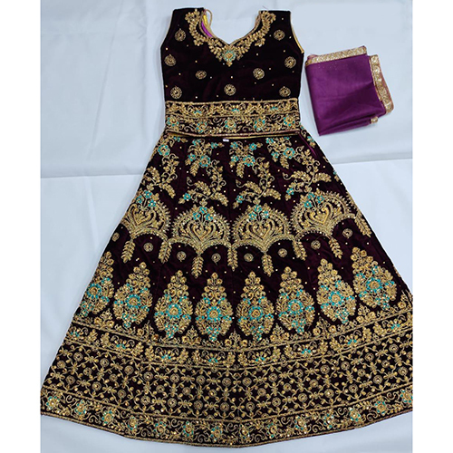Indian Ladies Net Embroidered Lehenga