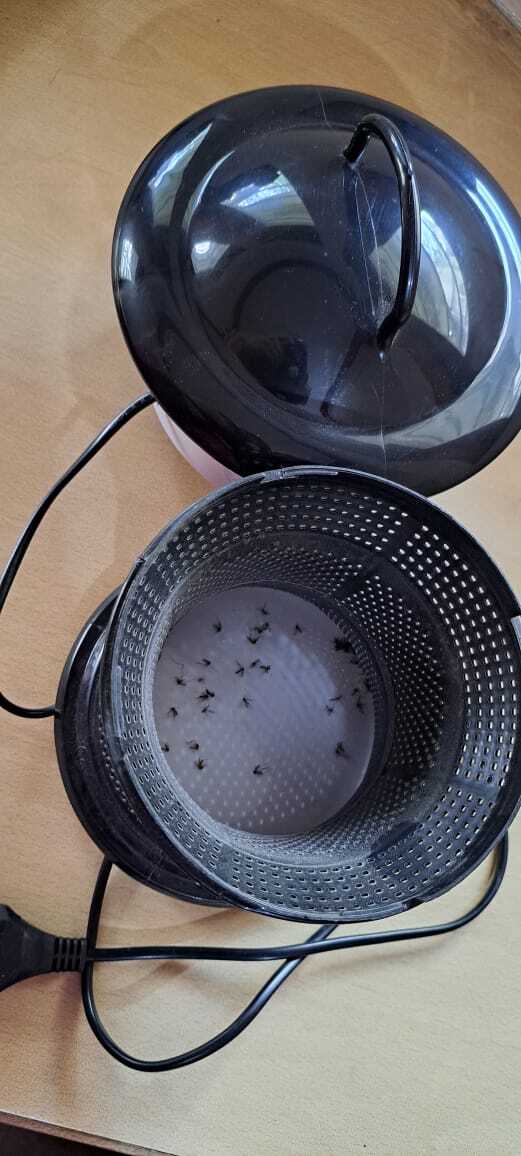 Indmk004 Mosquito Trapper - Material: Housing: Abs Plastic