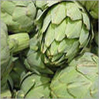 Artichoke