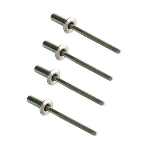 Silver Stainless Steel Grooved Rivet