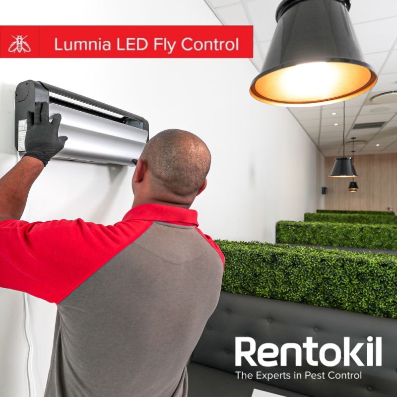 Lumnia Compact Fly Catcher - Material: Abs Plastic