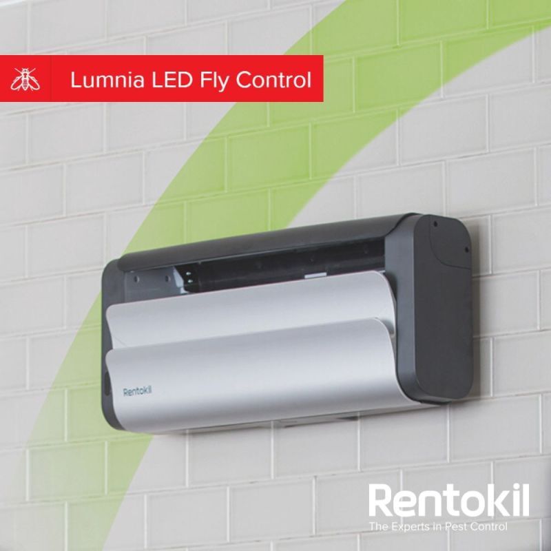 Lumnia Compact Fly Catcher - Material: Abs Plastic