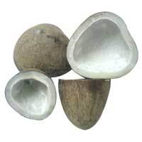 नारियल-खोपरा-765060