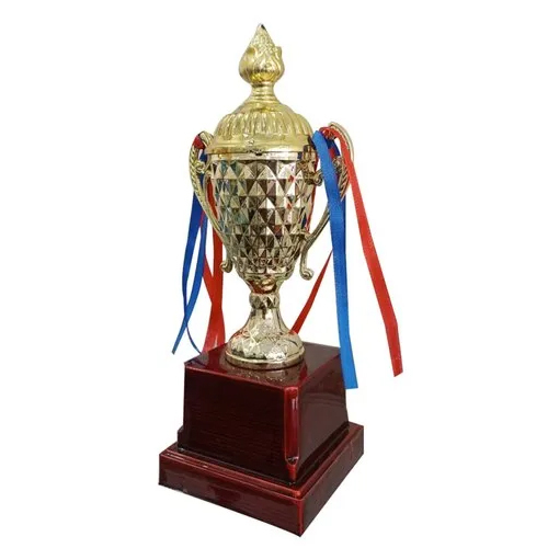 School Metal Trophy - Die Casting Metal, Customized Sizes , Available in All Colors - Sports-themed Design for Achievements