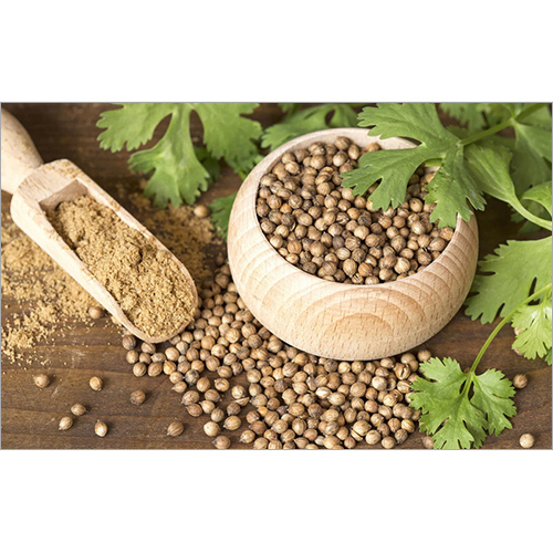 Coriander Seeds Grade: First Class