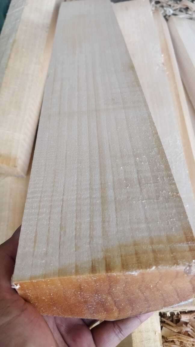 https://cpimg.tistatic.com/9214697/b/4/english-willow-cleft.jpg