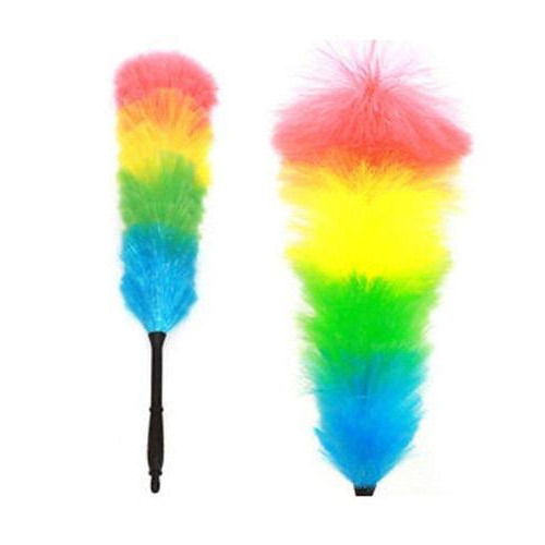 Feather Duster By Pranish Associates Llp
