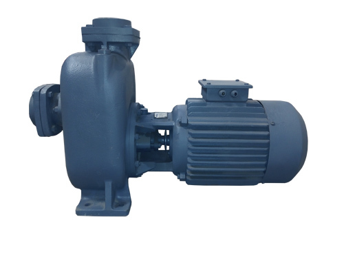 Self Priming Cum Centriufgal Mud Bare Shaft Pump Msp Series Application: Metering
