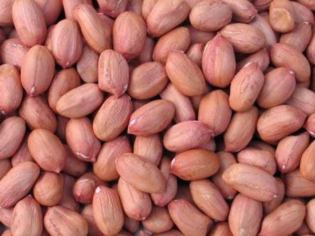 Peanut Kernel - Color: Brown