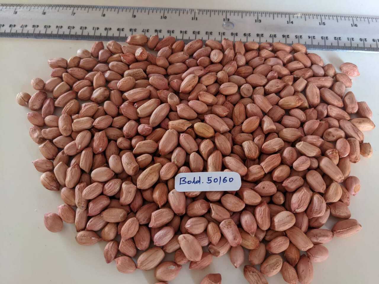 Peanut Kernel - Color: Brown