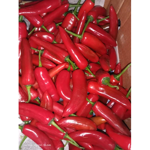 Red Jalapeno Moisture (%): Nil