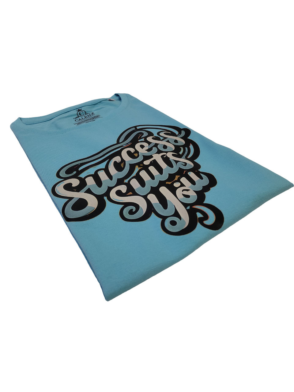 Round Neck T-shirt - 100% Compact Cotton 180 Gsm Sky Blue | Short Sleeves Dtf Printed For Women