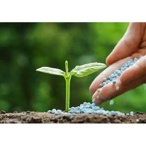 Bio Grade Standard Agriculture Fertilizer - Physical State: Granular