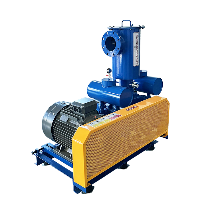 Iron Vacuum Roots Blower