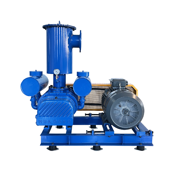 Iron Vacuum Roots Blower