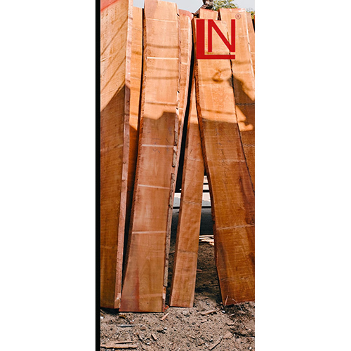 High Quality Steam Beech Wood