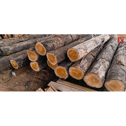 Teak Wood - Various Sizes, Up To 10mm Thickness | High Quality, Nil Moisture Content, Ideal For Outdoor Furniture And Indoor Finishing
